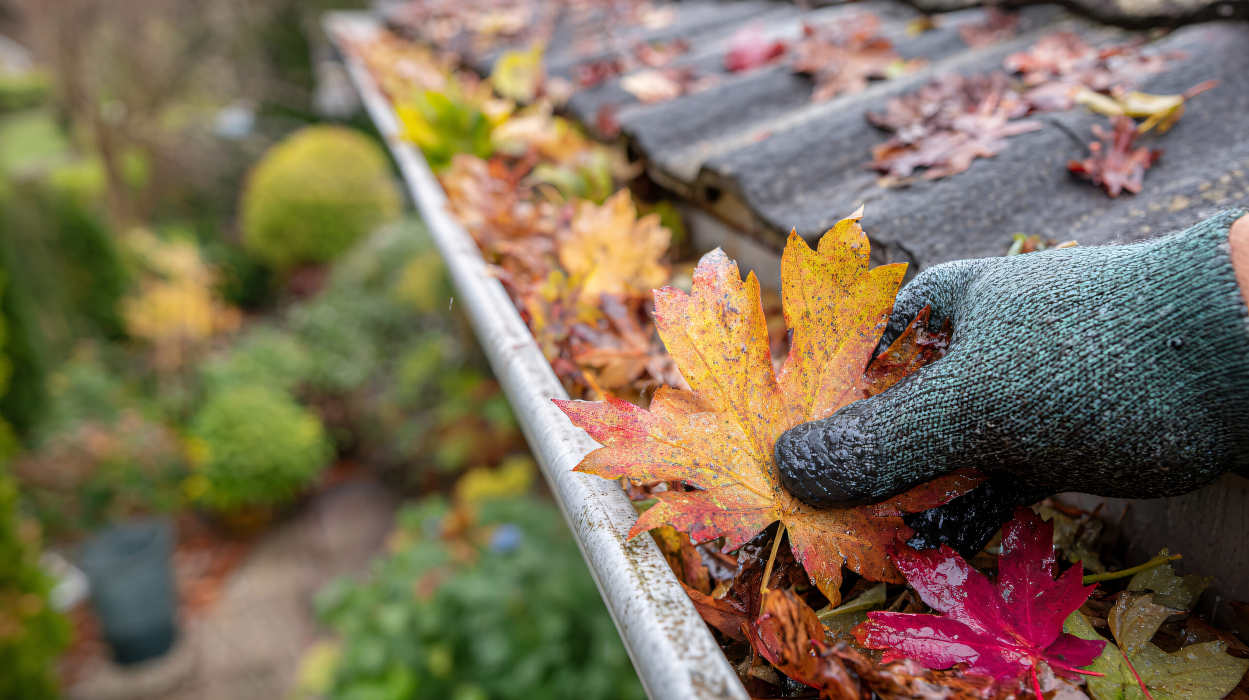 Gutter Cleaning